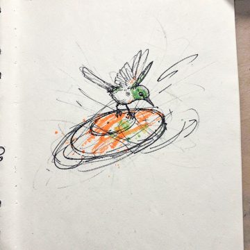 Flick, a hummingbird surfing on a spinning disc