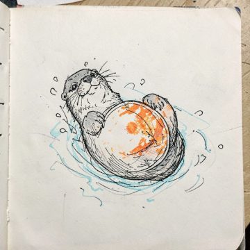 Otis, an otter floating on his back with a disc on his belly