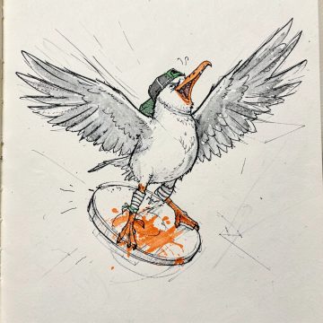 Swipe, a seagull in a cap riding a disc